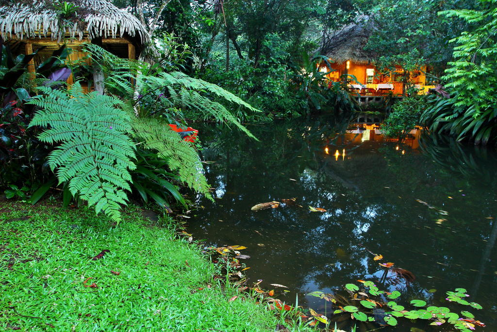 Hacienda La Isla Lodge Sarapiqui Exterior photo
