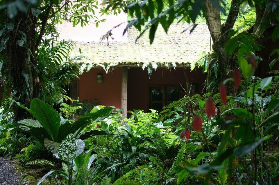 Hacienda La Isla Lodge Sarapiqui Exterior photo